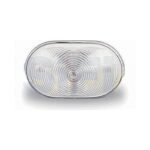 LUCE D'INGOMBRO ANTERIORE