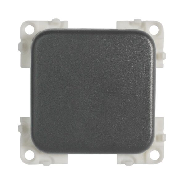 INTERRUTTORE UNIPOLARE (colore Grigio)