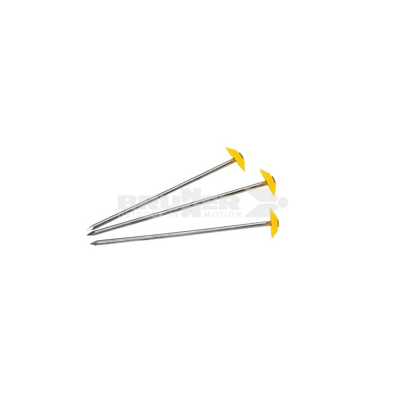 CARPEG Picchetto